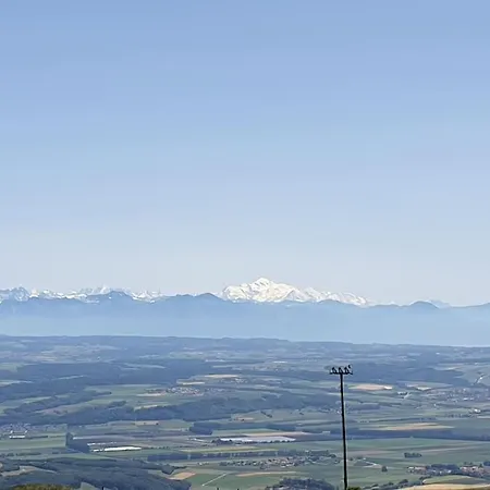 Apartment Coup D'oeil Bullet