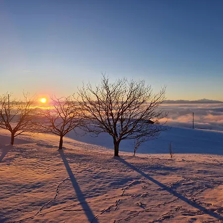 Apartment Coup D'oeil