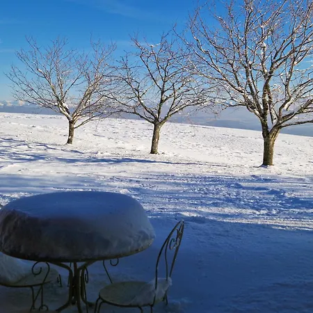 Coup D'oeil Apartment