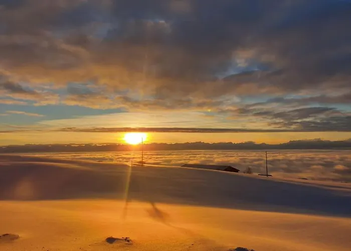 Coup D'oeil Apartment