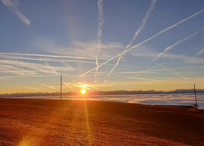 Appartement Coup D'œil