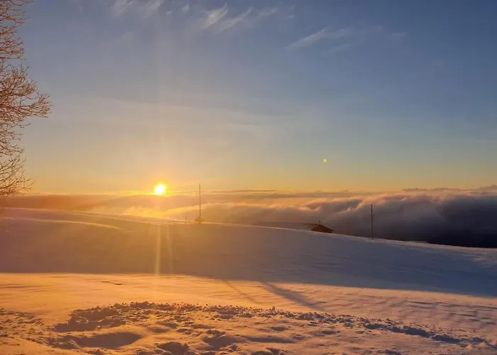 Apartment Coup D'oeil *