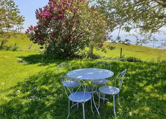 Coup D'œil Appartement *