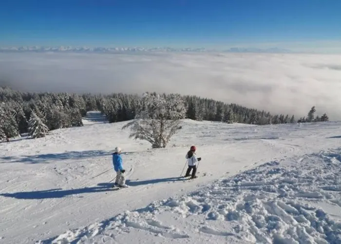Appartement Coup D'œil *