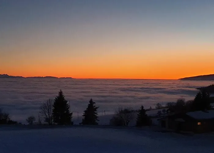 Coup D'oeil Apartment *