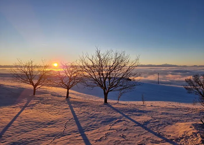 Appartement Coup D'œil